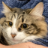 kierangill.pages.dev favicon